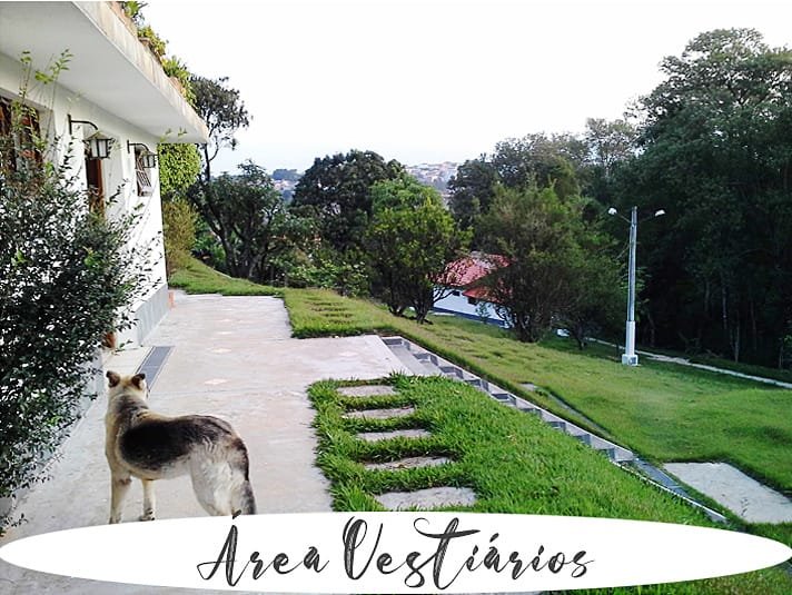 Chácara, 2 quartos, 5000 m² - Foto 12