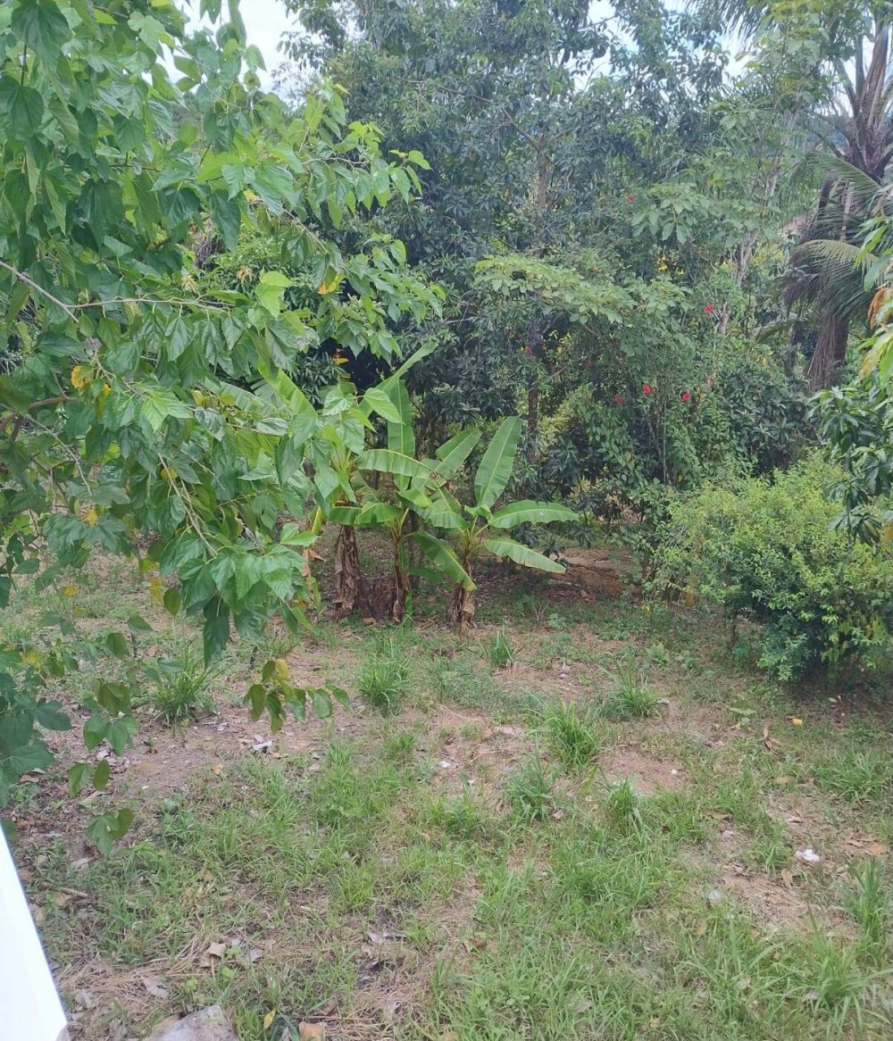 Chácara, 2 quartos, 1500 m² - Foto 25