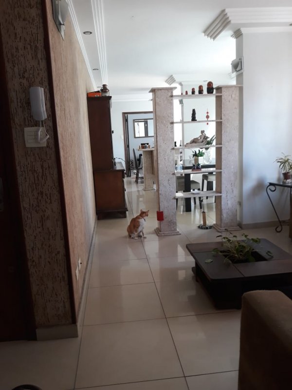 Apartamento  venda  no Itarar - So Vicente, SP. Imveis