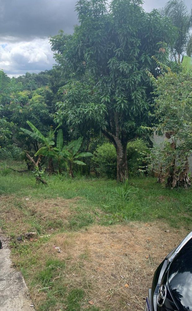 Chácara, 2 quartos, 1500 m² - Foto 17