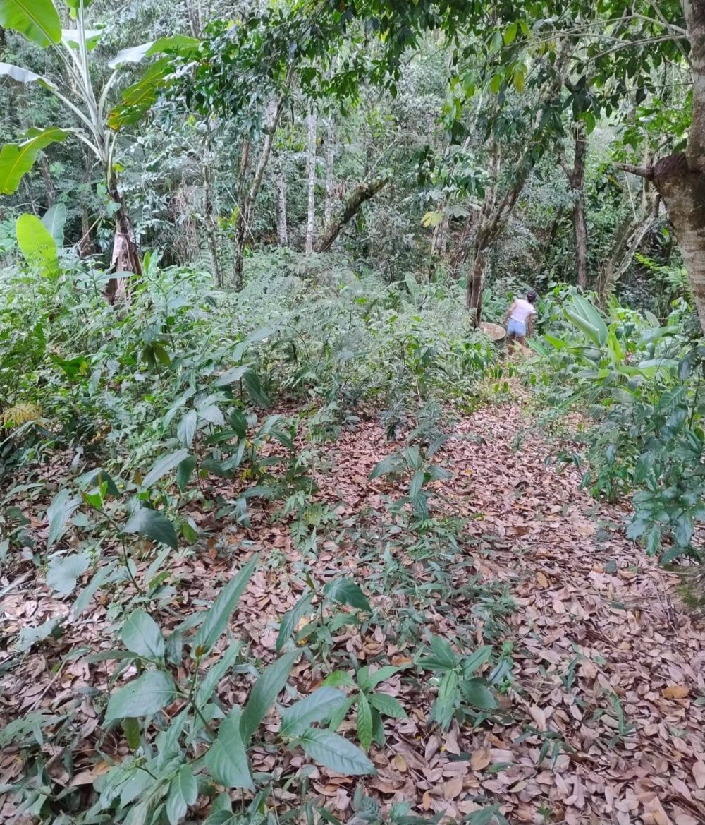 Chácara, 2 quartos, 1500 m² - Foto 22