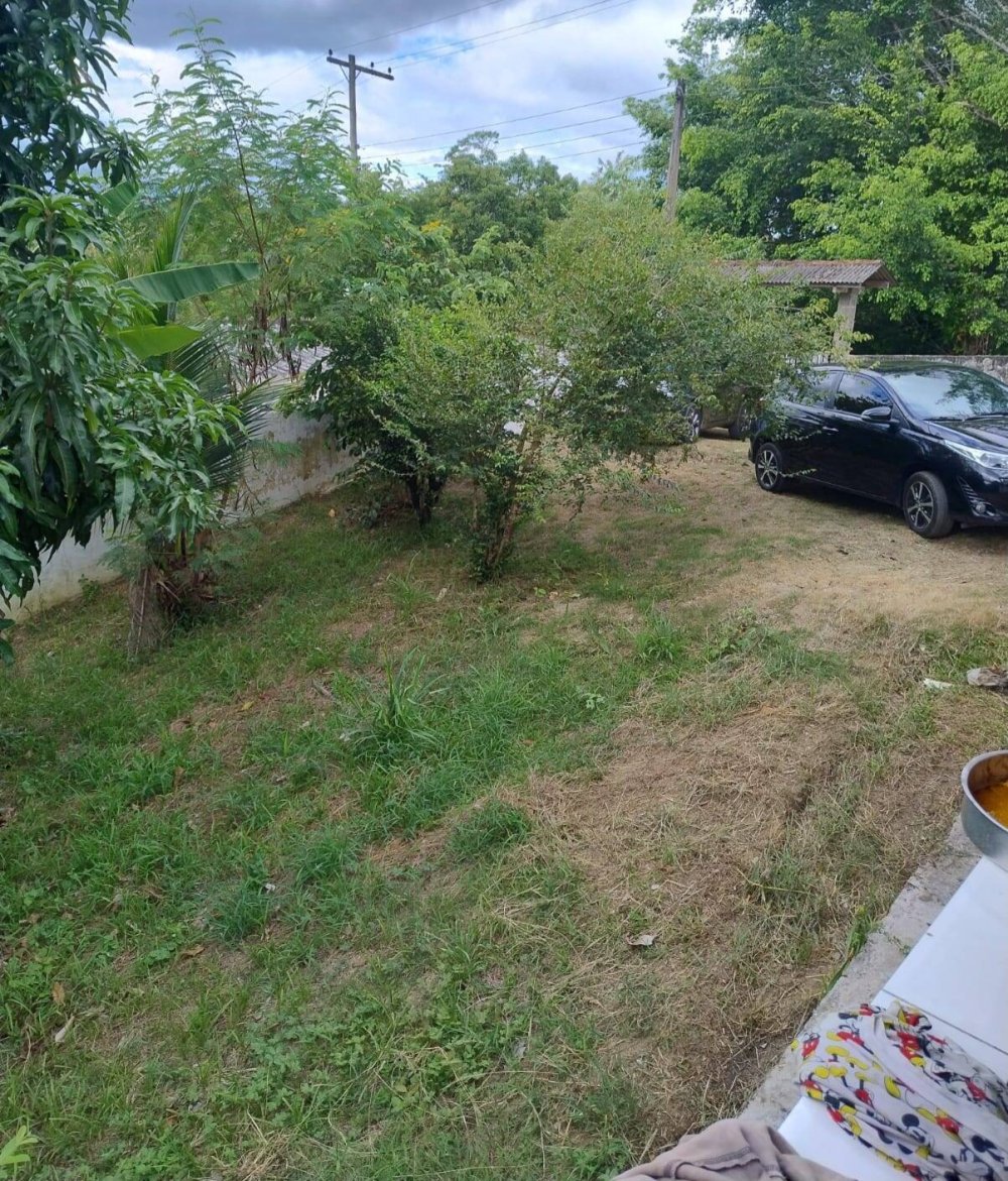 Chácara, 2 quartos, 1500 m² - Foto 19