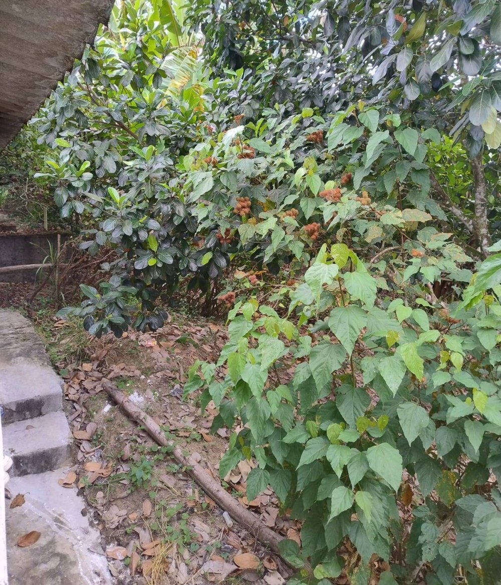 Chácara, 2 quartos, 1500 m² - Foto 23