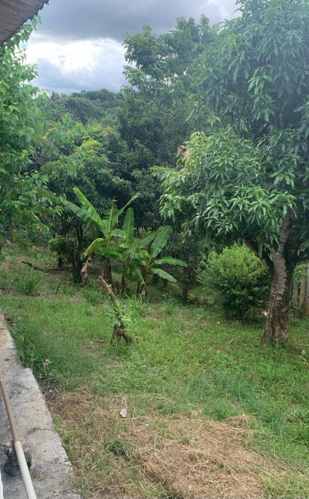 Chácara, 2 quartos, 1500 m² - Foto 18