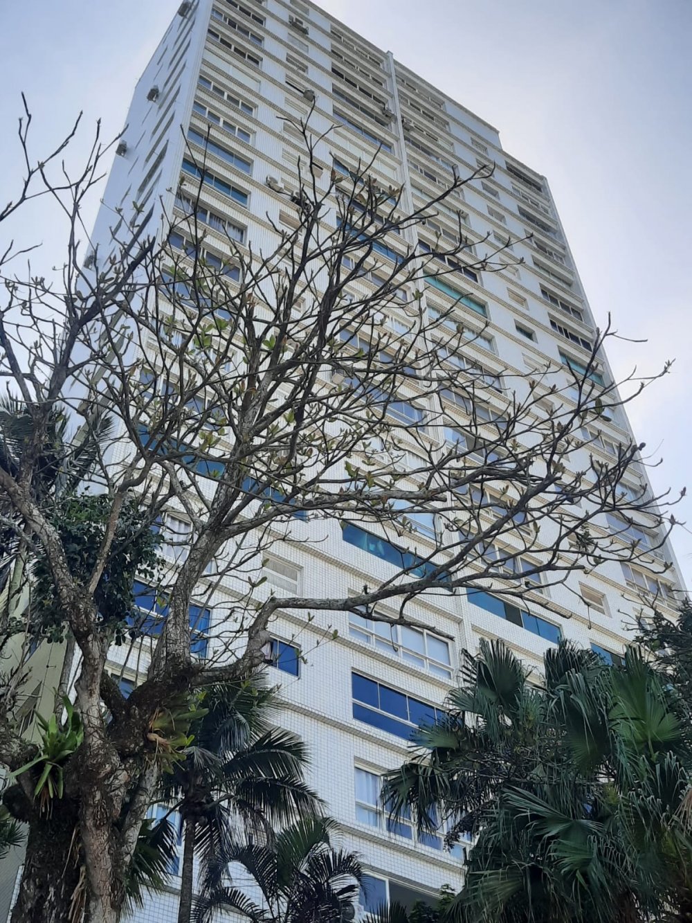 Apartamento, 3 quartos, 120 m² - Foto 22